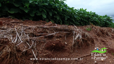DOS EÓLICOS VIRA P FAZENDA_Moment.00_02_12_08.Quadro155_43c12c5f52e423bc1c9456a3e6518b441703d02a.jpg